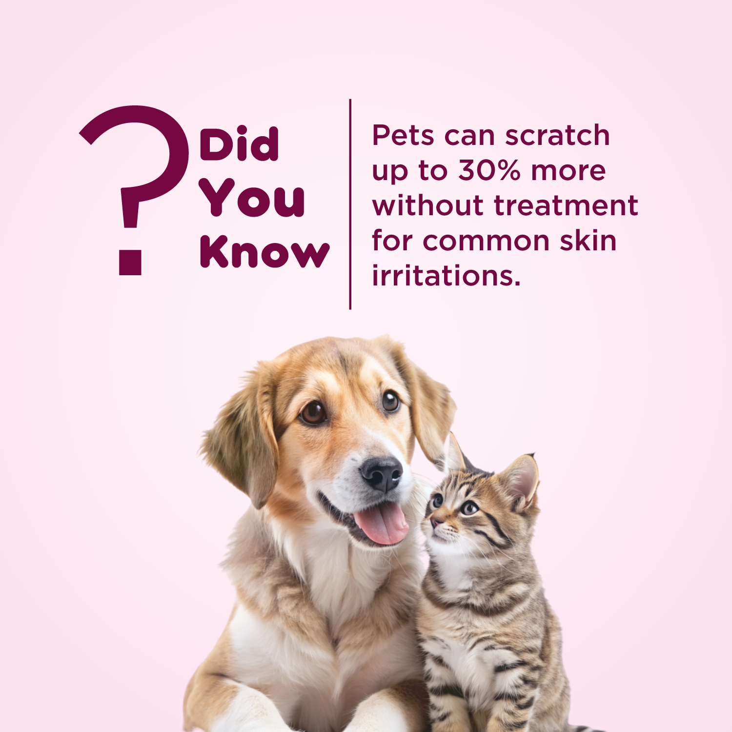 Myconorm Pet Powder PIL