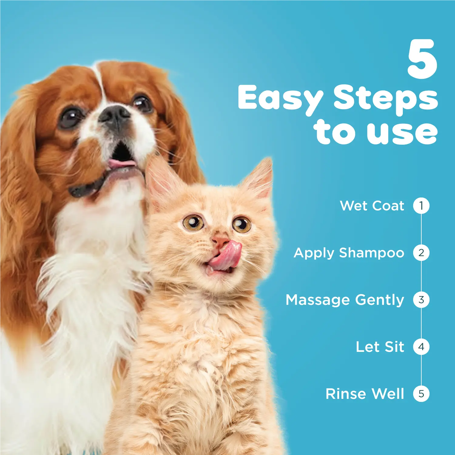 Dermopil Pet Anti-Itch Shampoo PIL