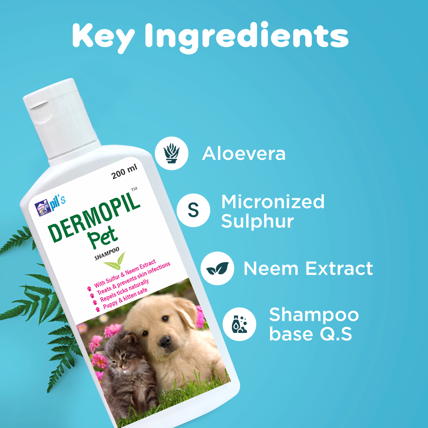 Dermopil Pet Anti-Itch Shampoo - PIL