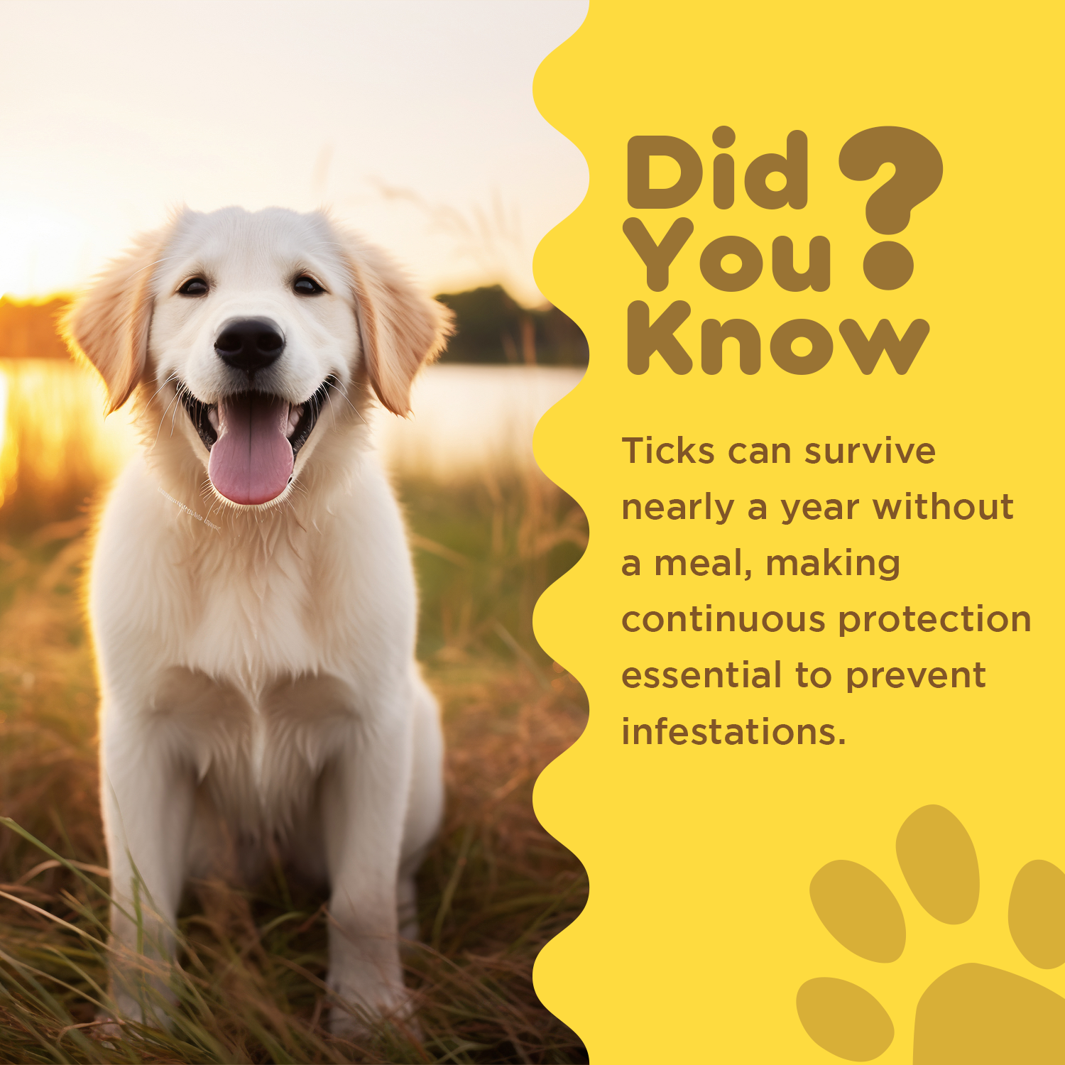 Tick And Flea Repellent Spray PIL