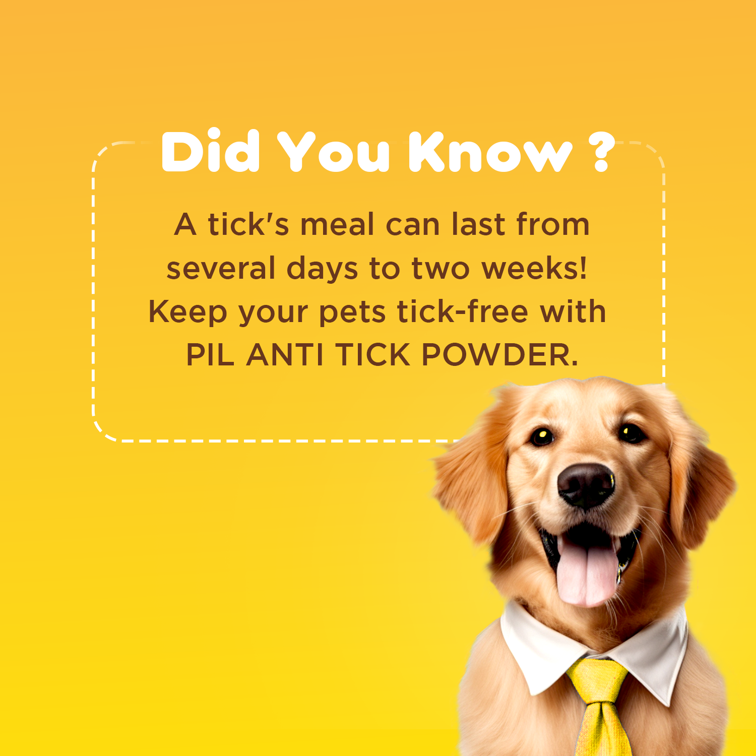 PETCARE ANTI-TICK POWDER PIL
