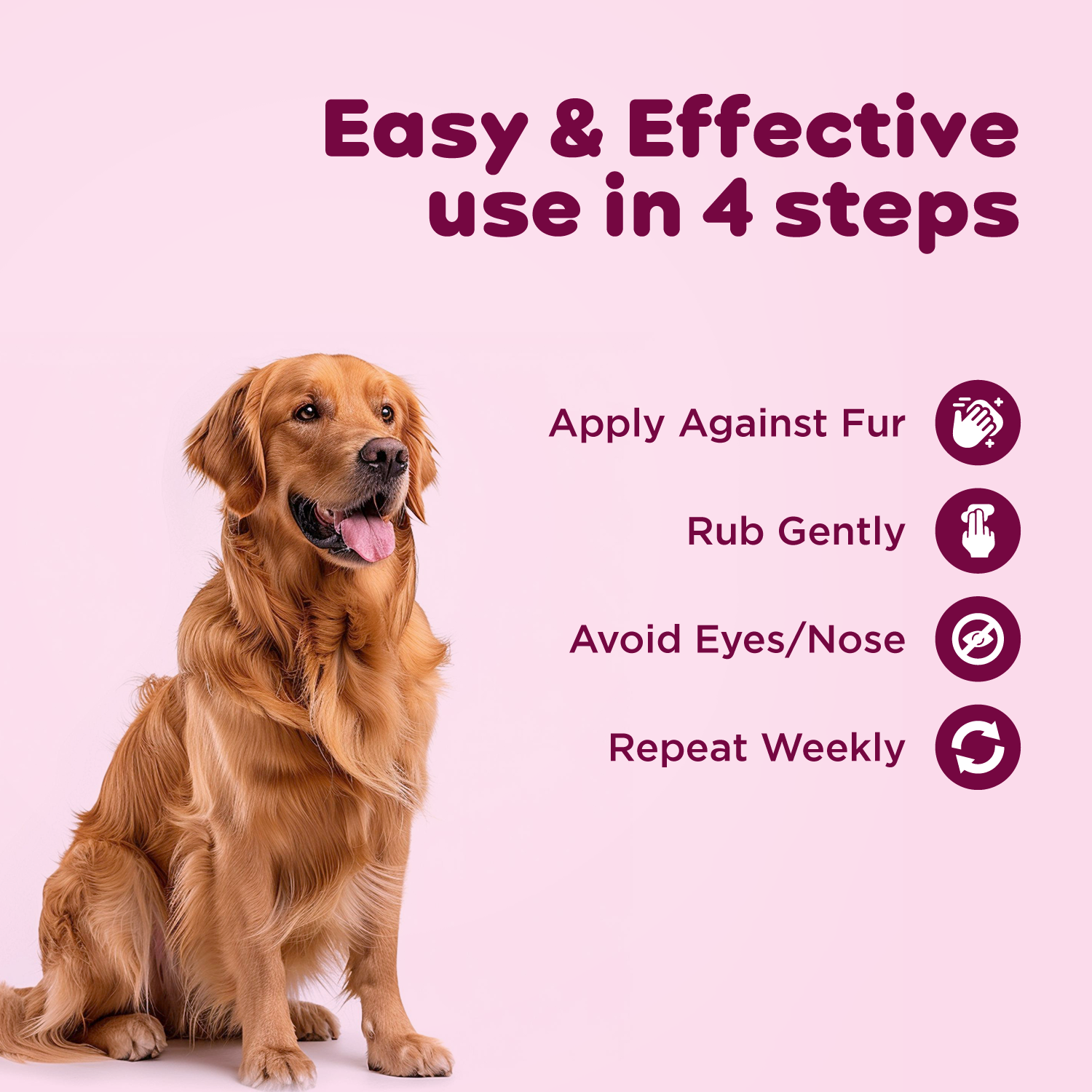 Myconorm Pet Powder PIL