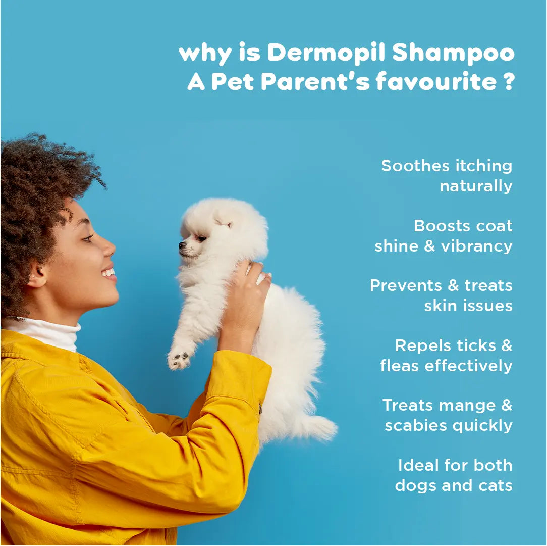 Dermopil Pet Anti-Itch Shampoo PIL