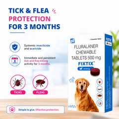 FIXTIX Tablets