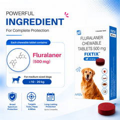 FIXTIX Tablets