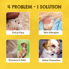 Tick & Flea Medicated Dog Shampoo