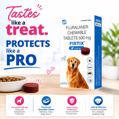 FIXTIX Tablets