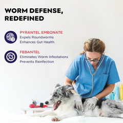 Womipil Pet Suspension