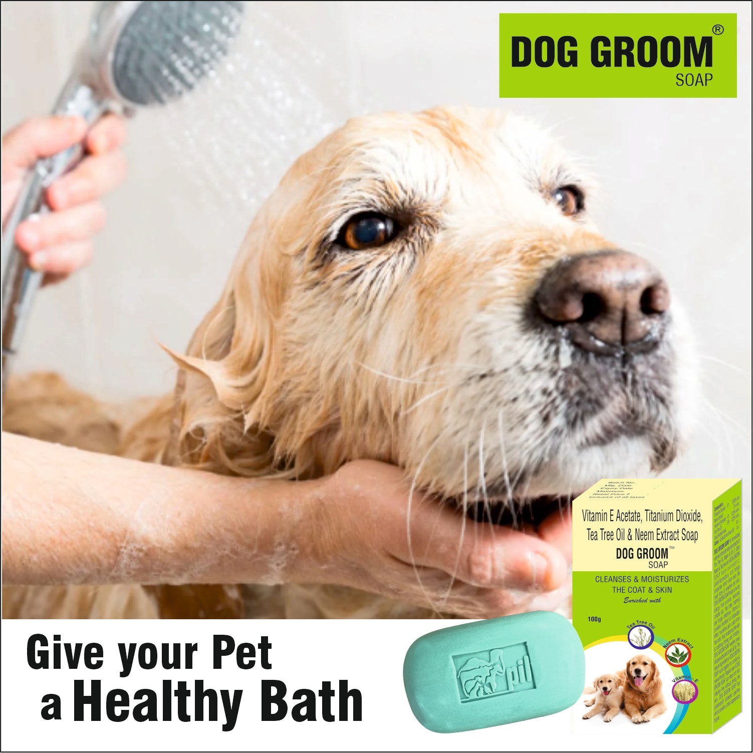 Dog Shampoo Giving Your Dog A Bath Bathtub Bathing With Your Dog