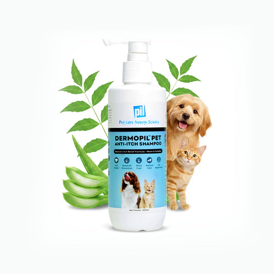 Dermopil Pet Anti-Itch Shampoo