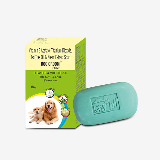 Dog Groom Soap