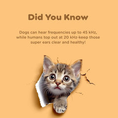 Otipil Pet Ear Drops PIL