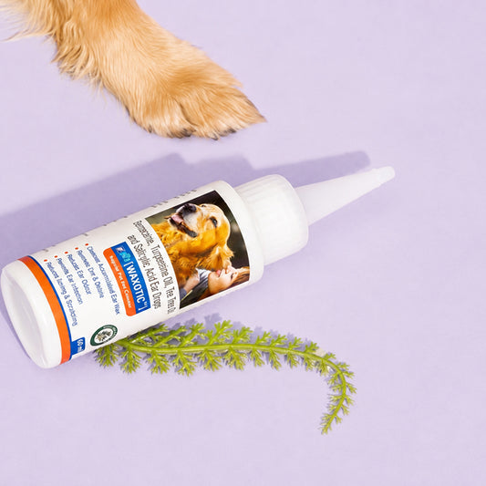 Pil Waxotic Regular Pet Ear Cleanser