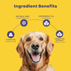 Pil Pet Dentagel