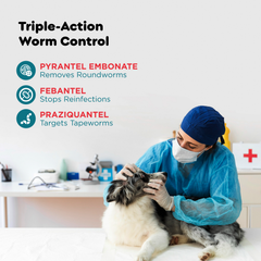 Womipil Pet Tablets PIL