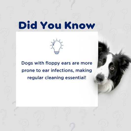 Pil Waxotic Regular Pet Ear Cleanser PIL