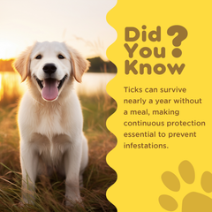 Tick And Flea Repellent Spray