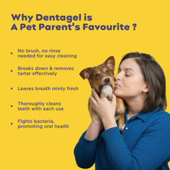 Pil Pet Dentagel