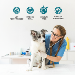 Womipil Pet Tablets PIL