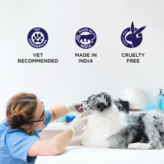Womipil Pet Suspension