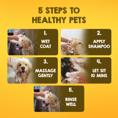 Tick & Flea Medicated Dog Shampoo