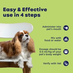 Smart Pet Syrup PIL