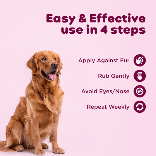 Myconorm Pet Powder