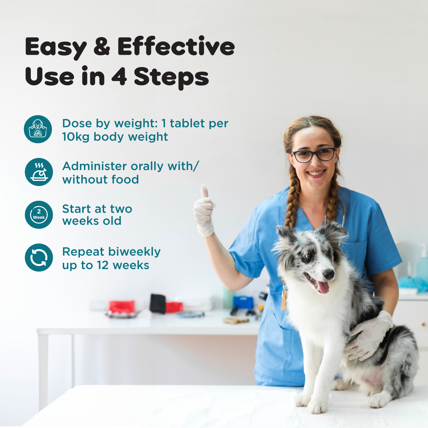 Womipil Pet Tablets PIL