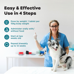 Womipil Pet Tablets PIL