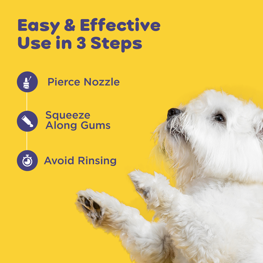 Pil Pet Dentagel